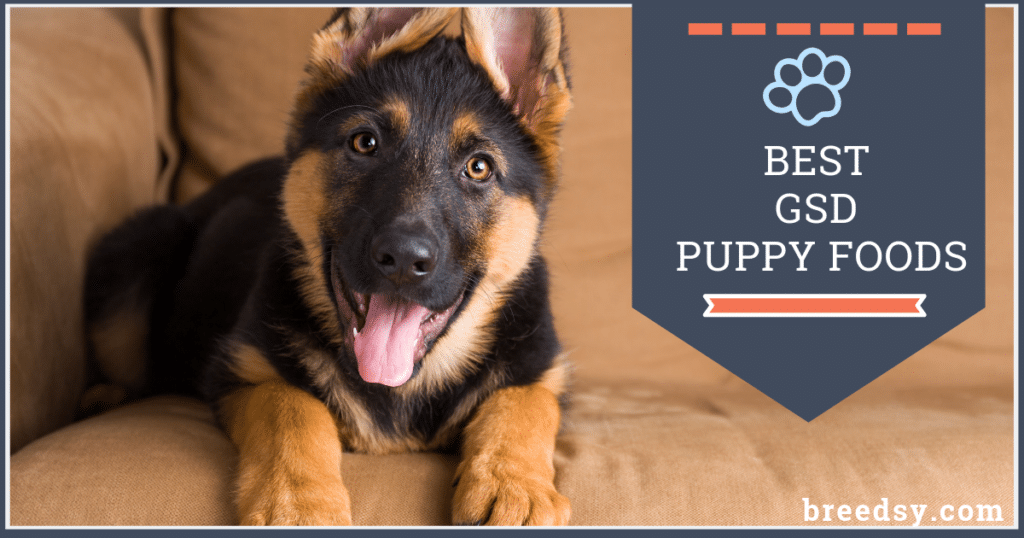 10 Best German Shepherd Puppy Foods and Most Affordable ...