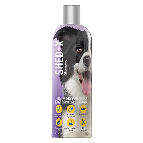 10 Best Shampoo For German Shepherd Dog in USA [ August