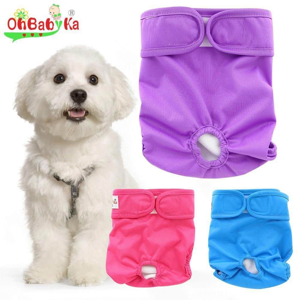 11 Outstanding Dog Diapers Great Dane Dog Diapers German