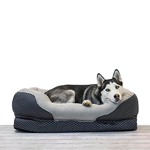 15 Best Dog Beds For German Shepherds in [2021]