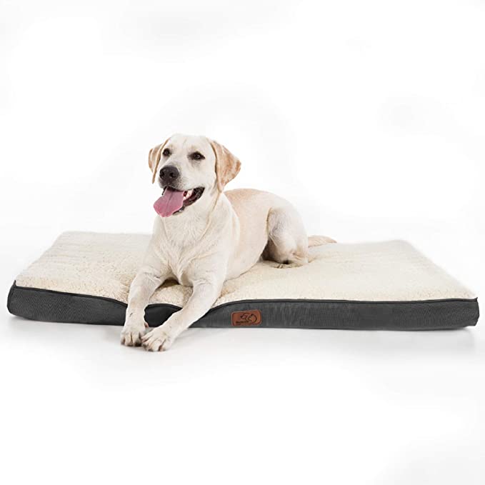 15 Best Dog Beds for German Shepherds in 2021