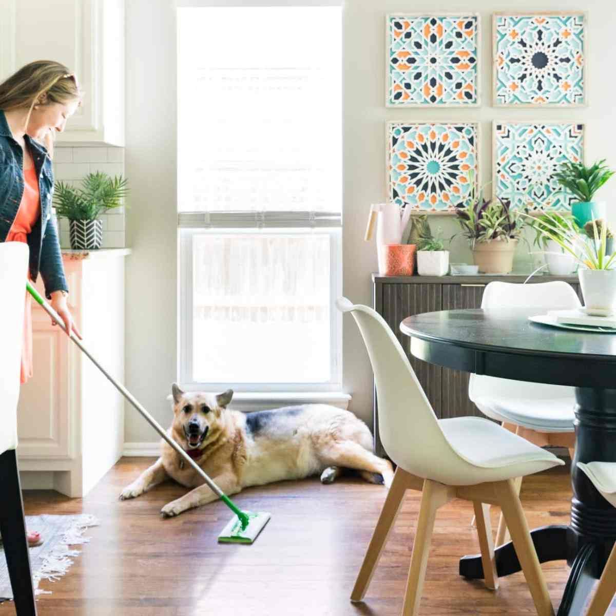 5 Steps to Keeping Clean Floors When You Have Shedding ...