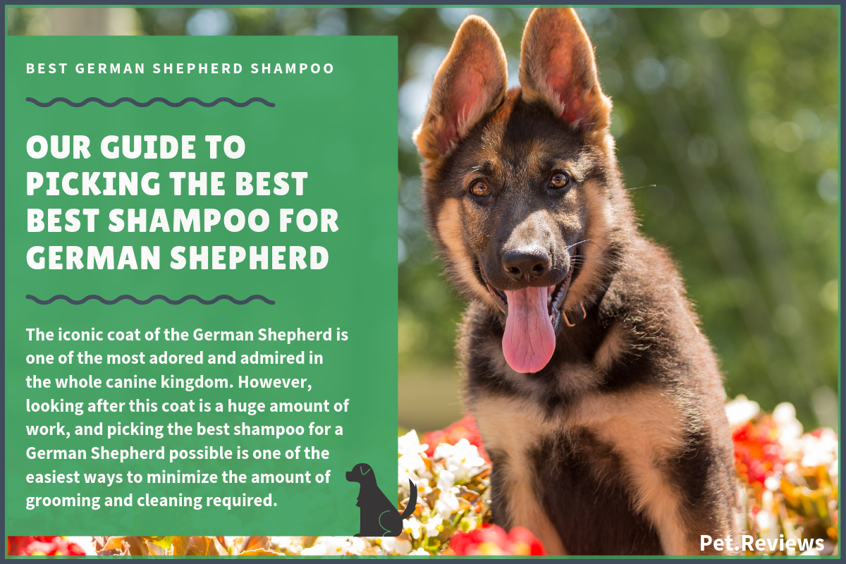 6 Best Dog Shampoos &  Conditioners For German Shepherd ...
