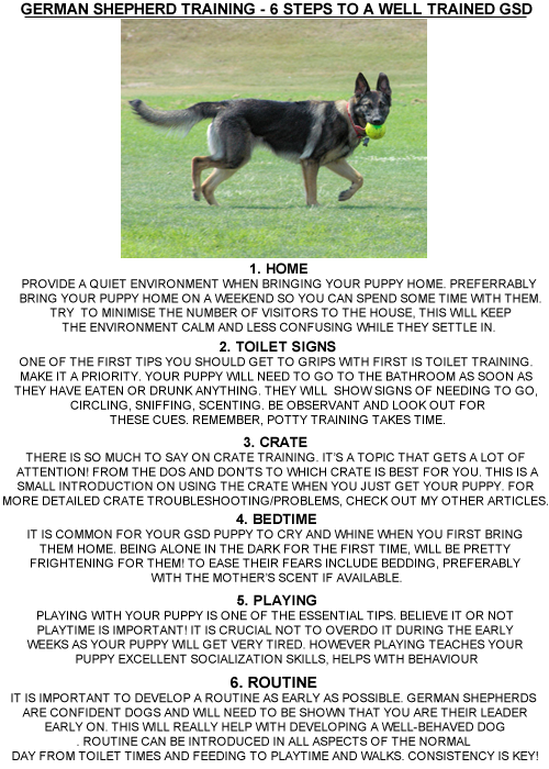 6 Steps to German shepherd puppy training