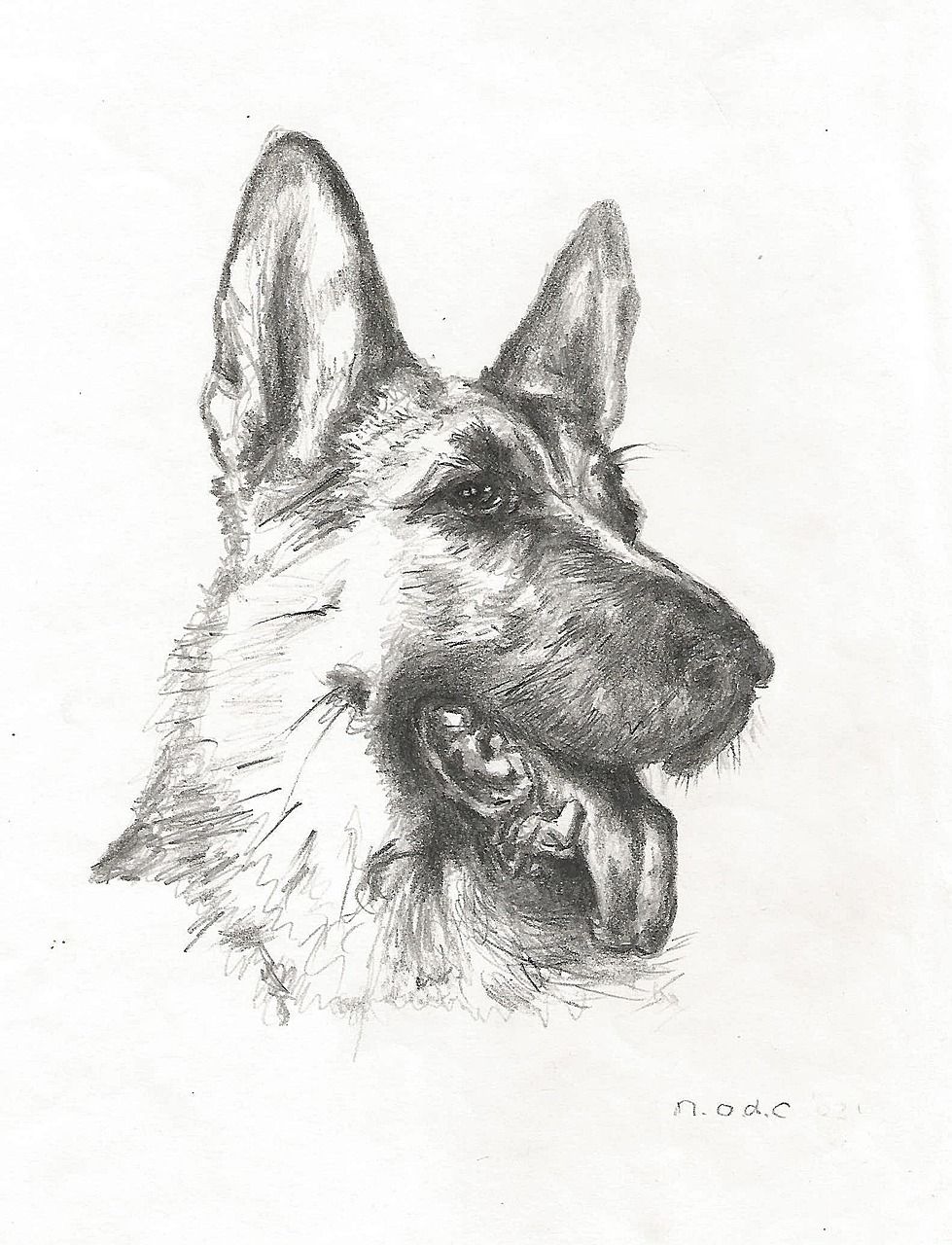 7 Easy Tutorials On How To Draw A German Shepherd Dog or ...