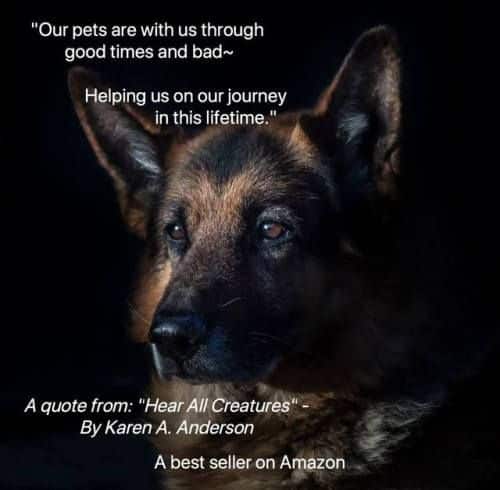 Animal Communication Books &  Pet Psychics : Karen Anderson Follow us ...