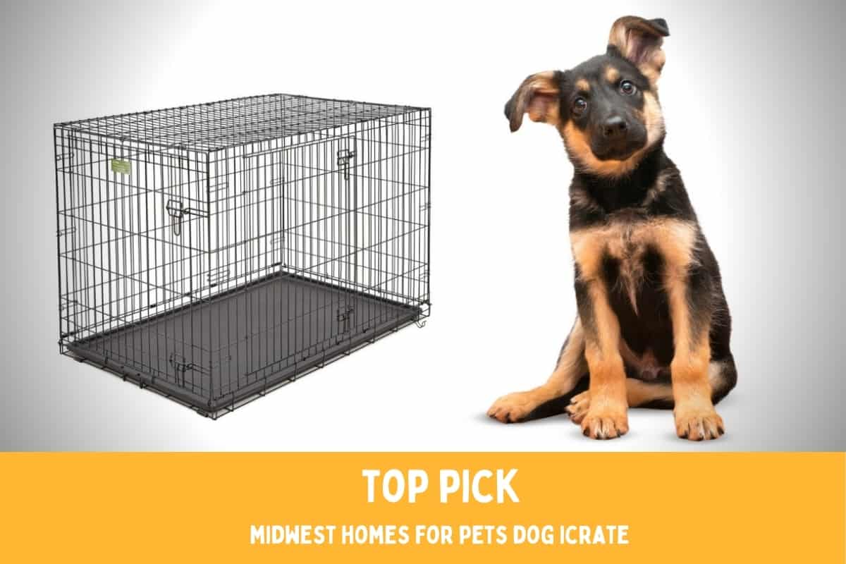Best Dog Crate for German Shepherds: My Favorite Pick ...