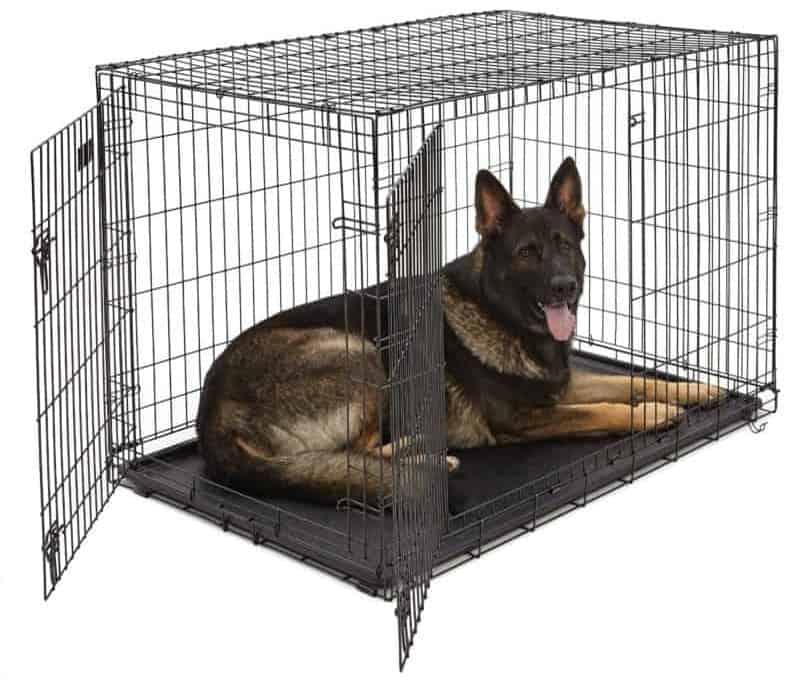 Best Dog Crate for German Shepherds: My Pick!  World of Dogz