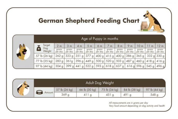 best dog food for german shepherd 2021 reviews and