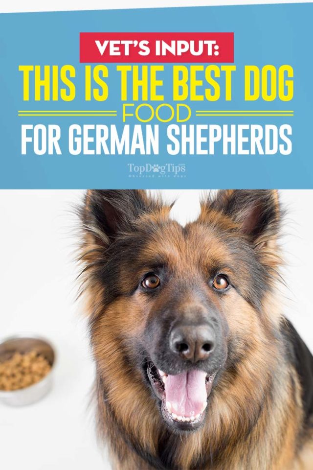 Best Dog Food for German Shepherds: 8 Vet Recommended Brands