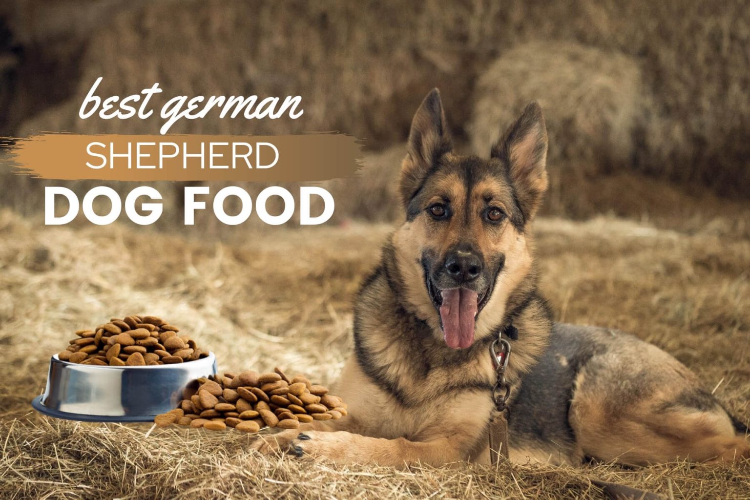 Best Dog Food For German Shepherds: Great Nutrition For A Healthy GSD ...