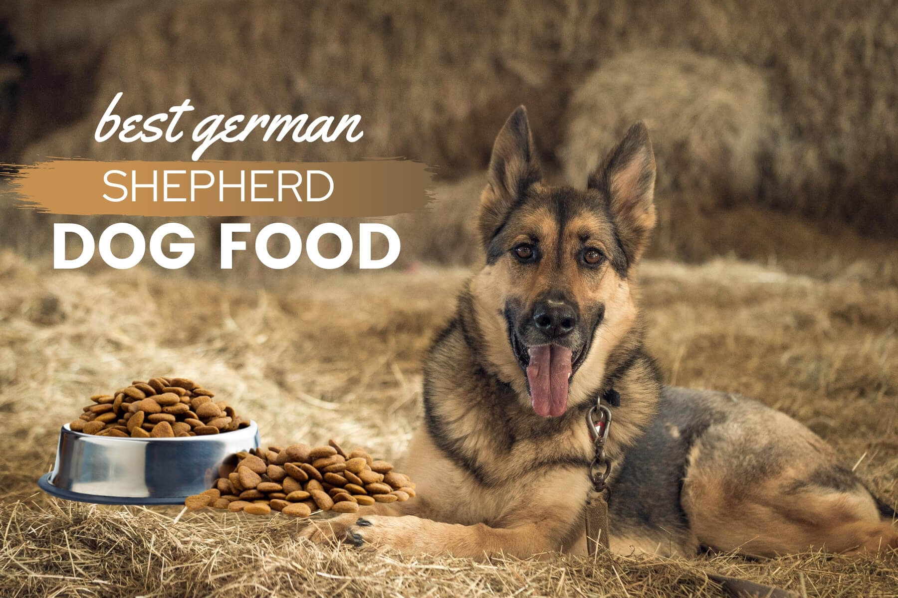 Best Dog Food For German Shepherds: Great Nutrition For A ...