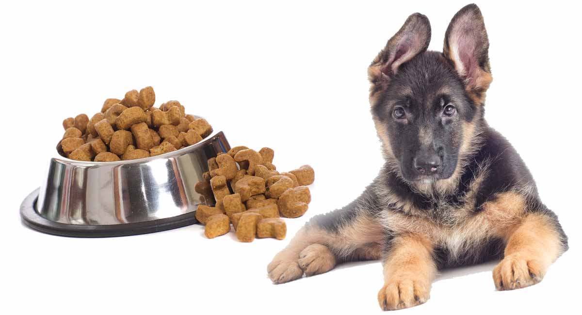 Best Dog Food For German Shepherds