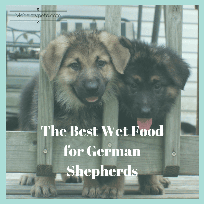 Best Wet Dog Food For German Shepherds