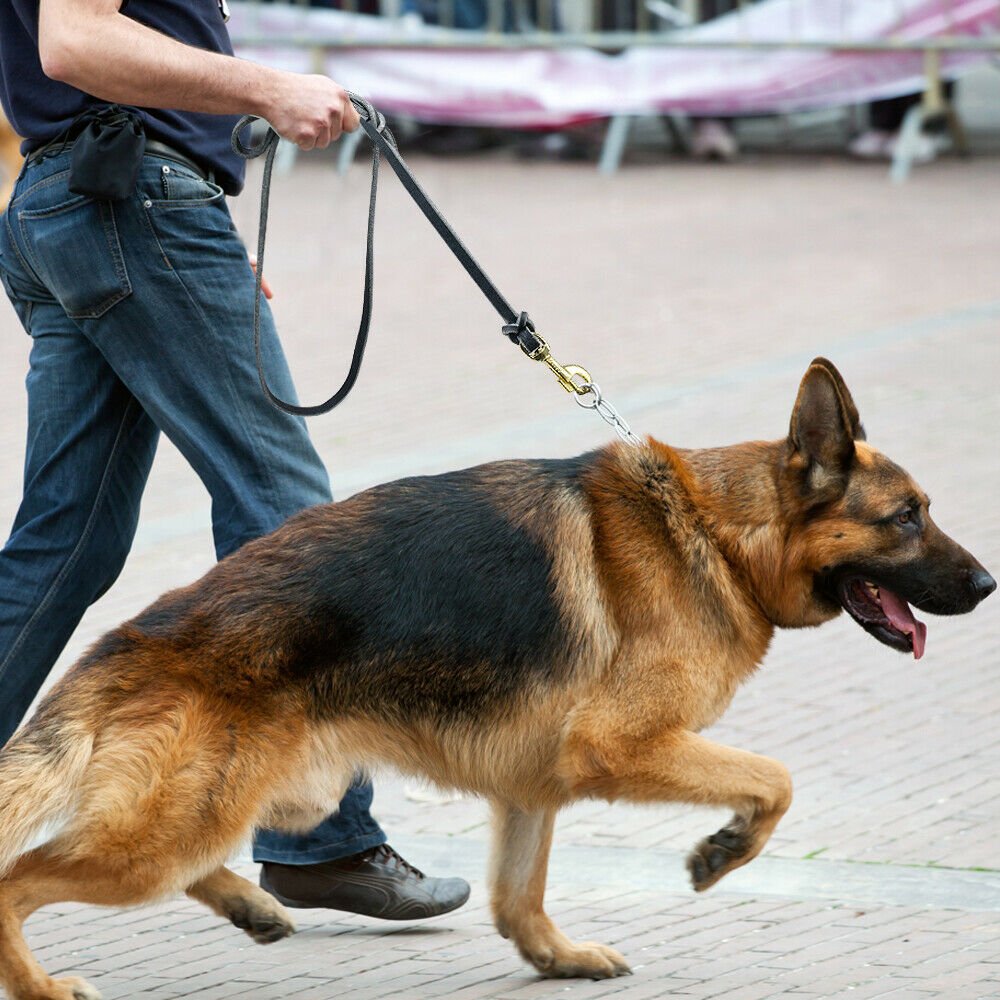 Braided Leather Dog Leash Training Walking for German ...