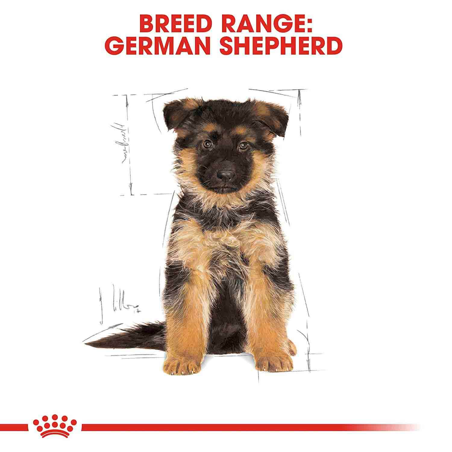 Buy Royal Canin German Shepherd Junior/Puppy Food (3 KG) Online in ...