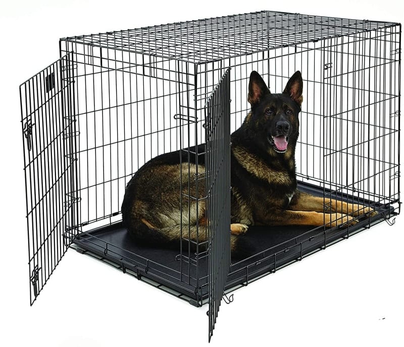 Choosing a Crate for Your Dog  How to Size it Up