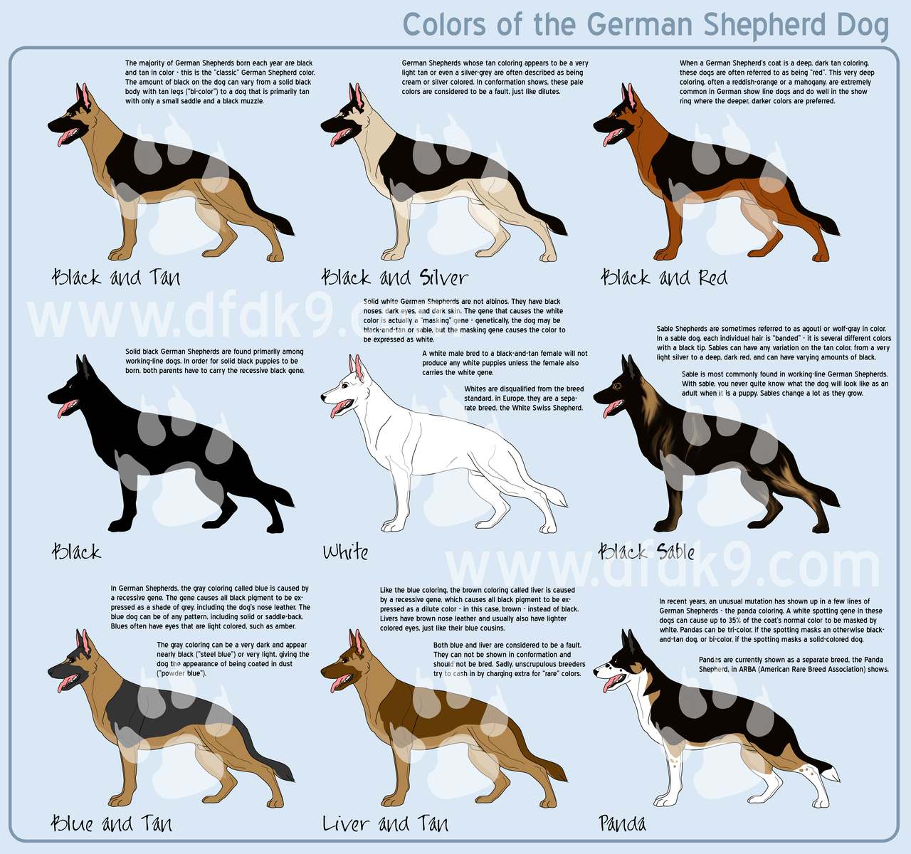 Difference between Alsatian and German Shepherd Dog