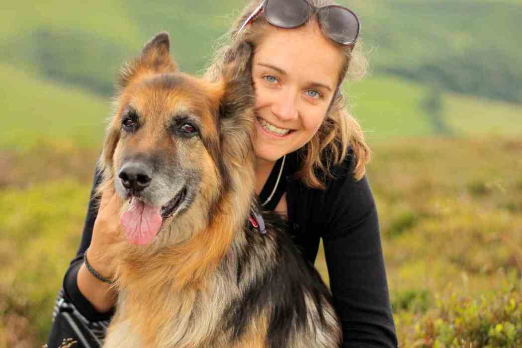 Do German Shepherds Like to Cuddle? 2  Embora Pets