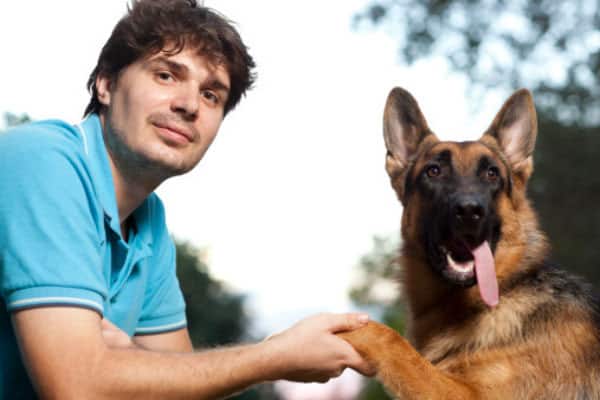 Does My German Shepherd Love Me: Yes or No and How Can I ...