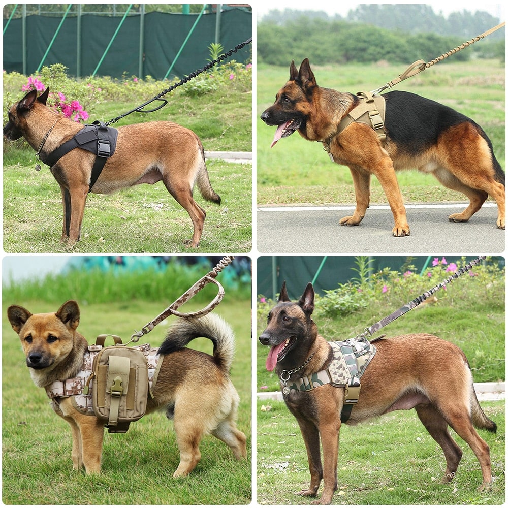 Dog Harness K9 Walking Adjustable Nylon Pet Dog Collar Vest Bungee Dog ...