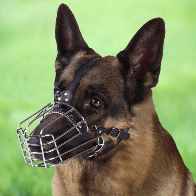 Dog Muzzle German Shepherd Adjustable Metal Wire Basket ...