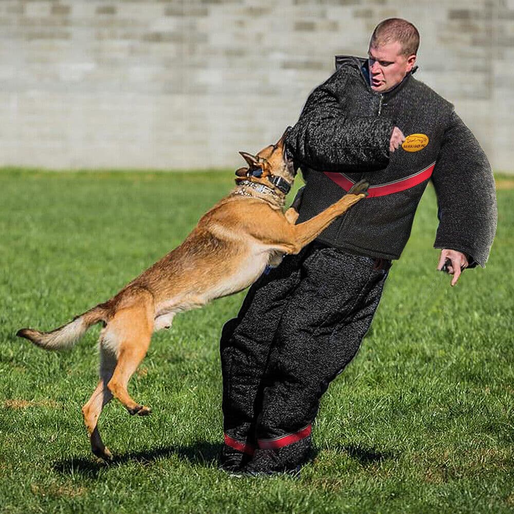 Dog Training Bite Suit Full Body Protection Intermediate For German ...