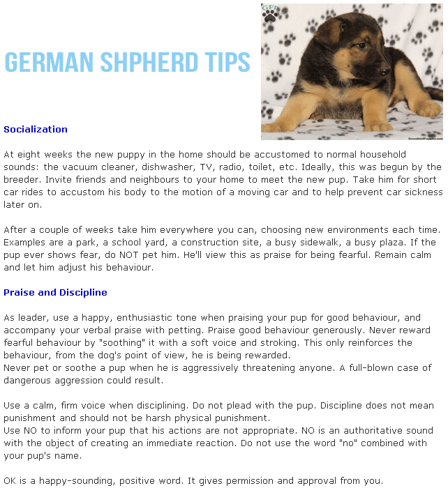 Essentials of German shepherd puppy training
