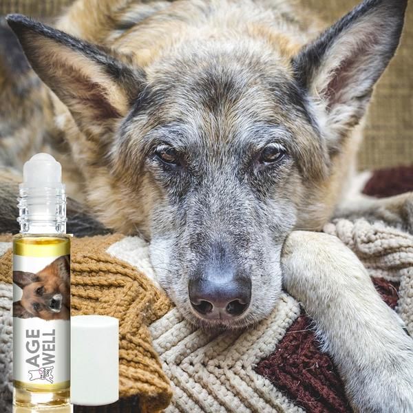 German Shepherd Age Well Dog Aromatherapy