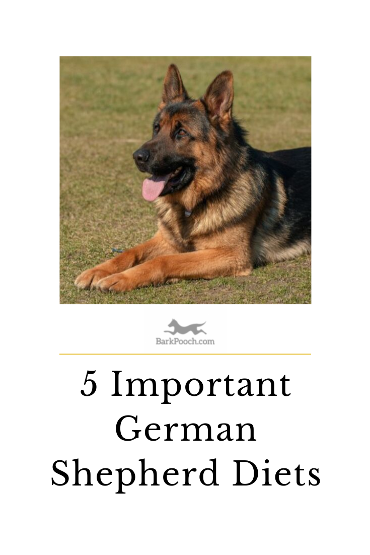 German Shepherd Diet
