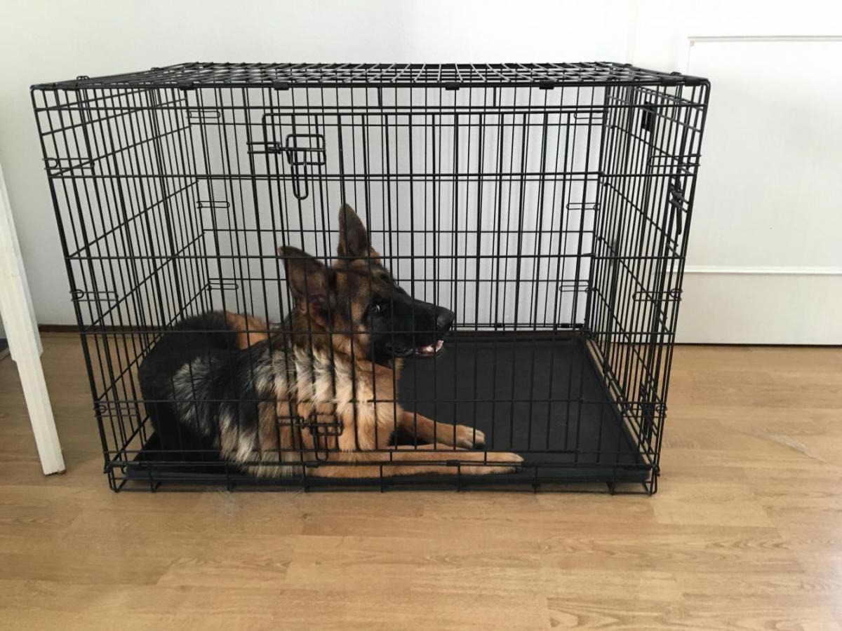 German Shepherd Dog Crate Size