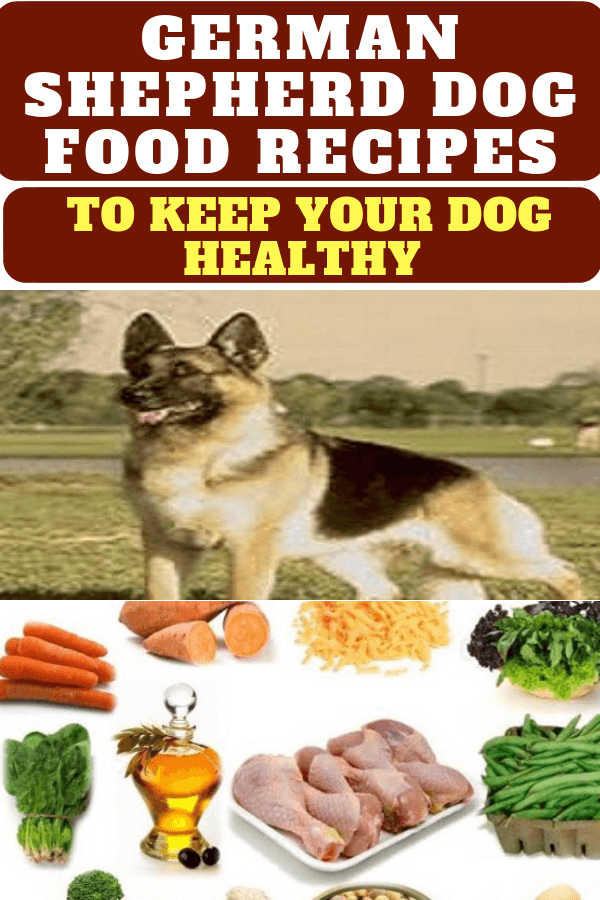German Shepherd Dog Food Recipes to Keep Your Dog Healthy. # ...