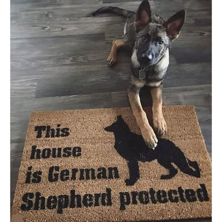 German Shepherd Doormat #germanshepherd