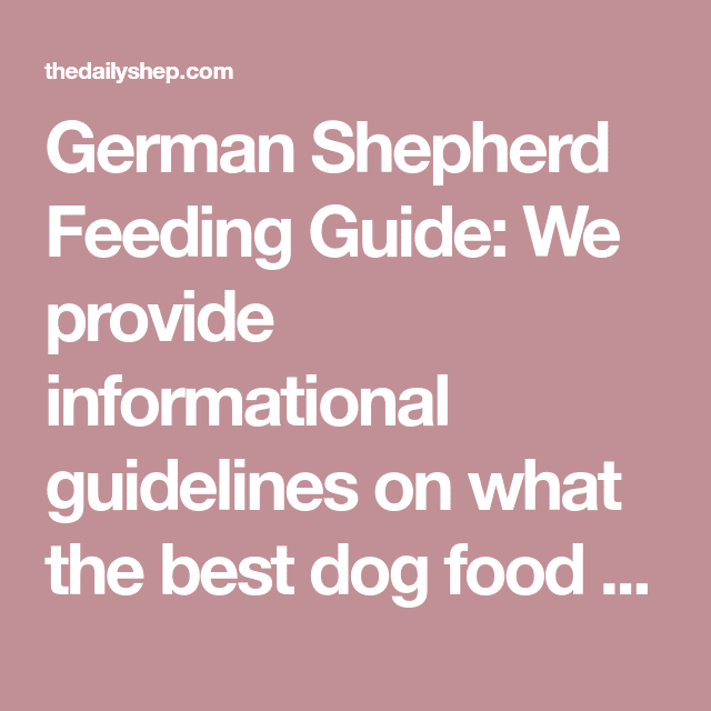 German Shepherd Feeding Guide: Best Dog Food For Puppies, Adults ...