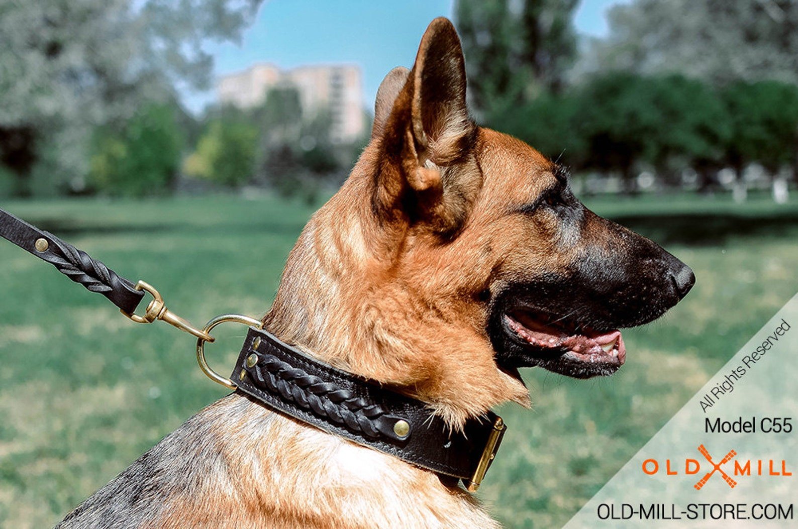 German Shepherd Leather Dog Collar with Braids and Fur
