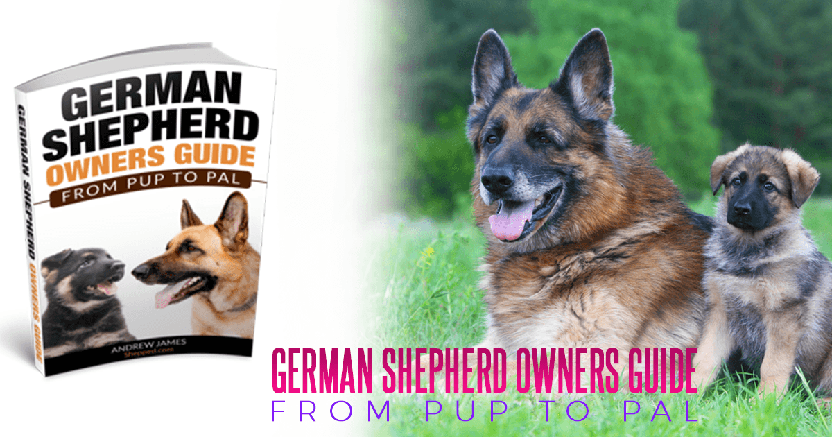 German Shepherd Owners Guide; From Pup To Pal