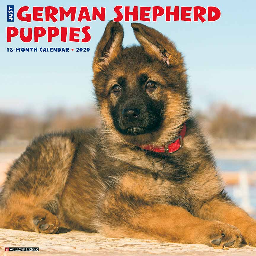 German Shepherd Puppies Calendar 2020 Willow Creek