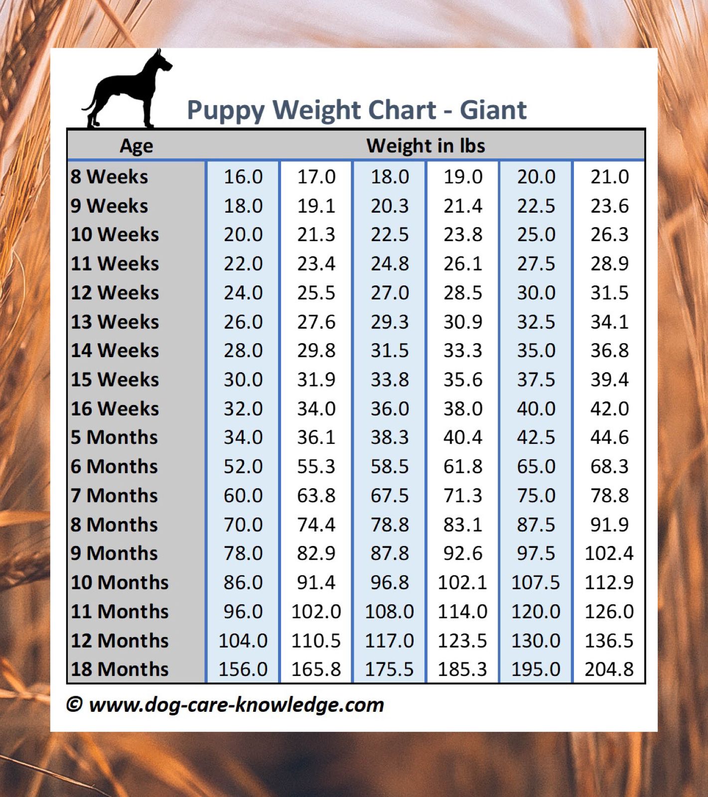 German Shepherd Puppies Diet Chart