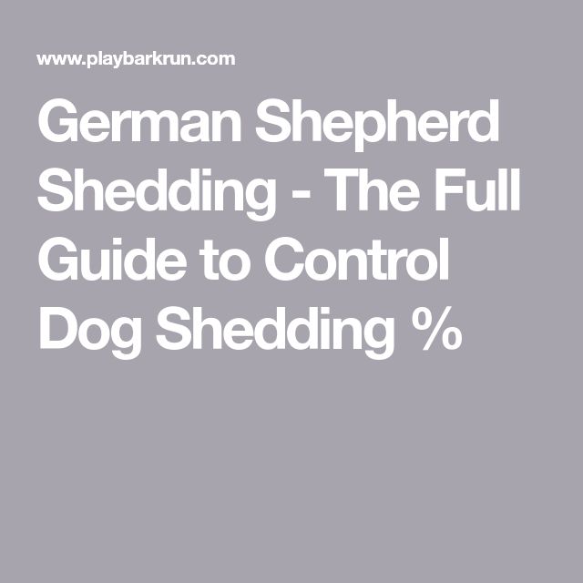 German Shepherd Shedding