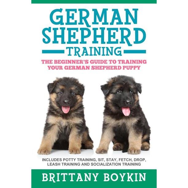 German Shepherd Training: The Beginner