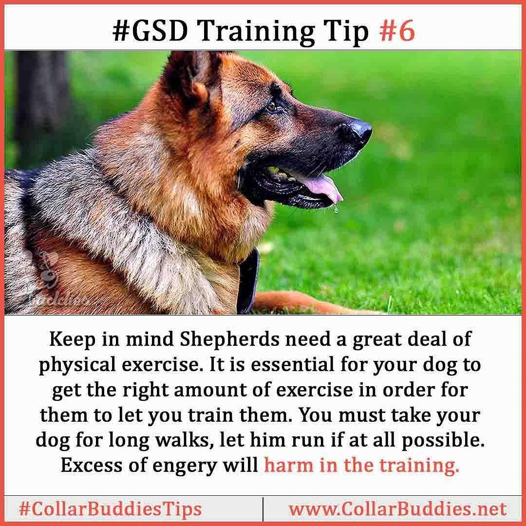 GSD Training Tip