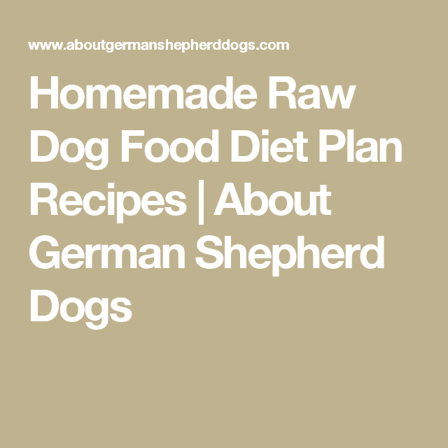 Homemade Raw Dog Food Diet Plan Recipes