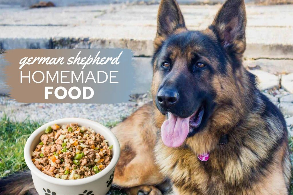 How Much Kibble To Feed A German Shepherd Puppy