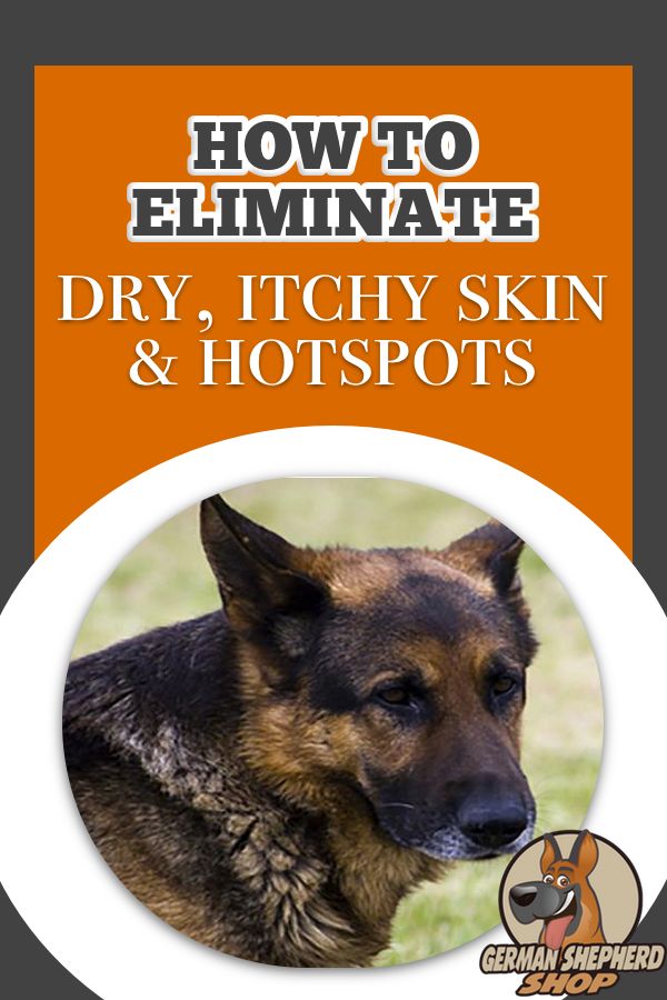 How To Eliminate Dry, Itchy Skin And Hot Spots