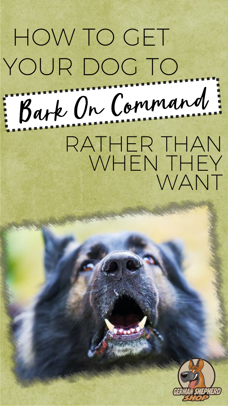 How To Get Your Dog To Bark On Command Rather Than When ...