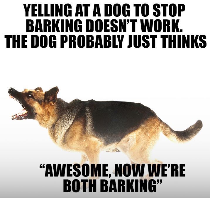 How to get your dog to stop barking