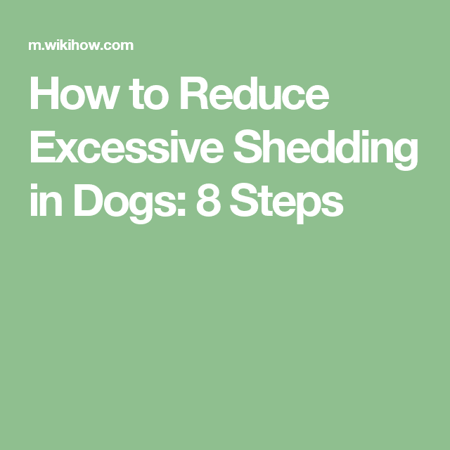 How to Reduce Excessive Shedding in Dogs