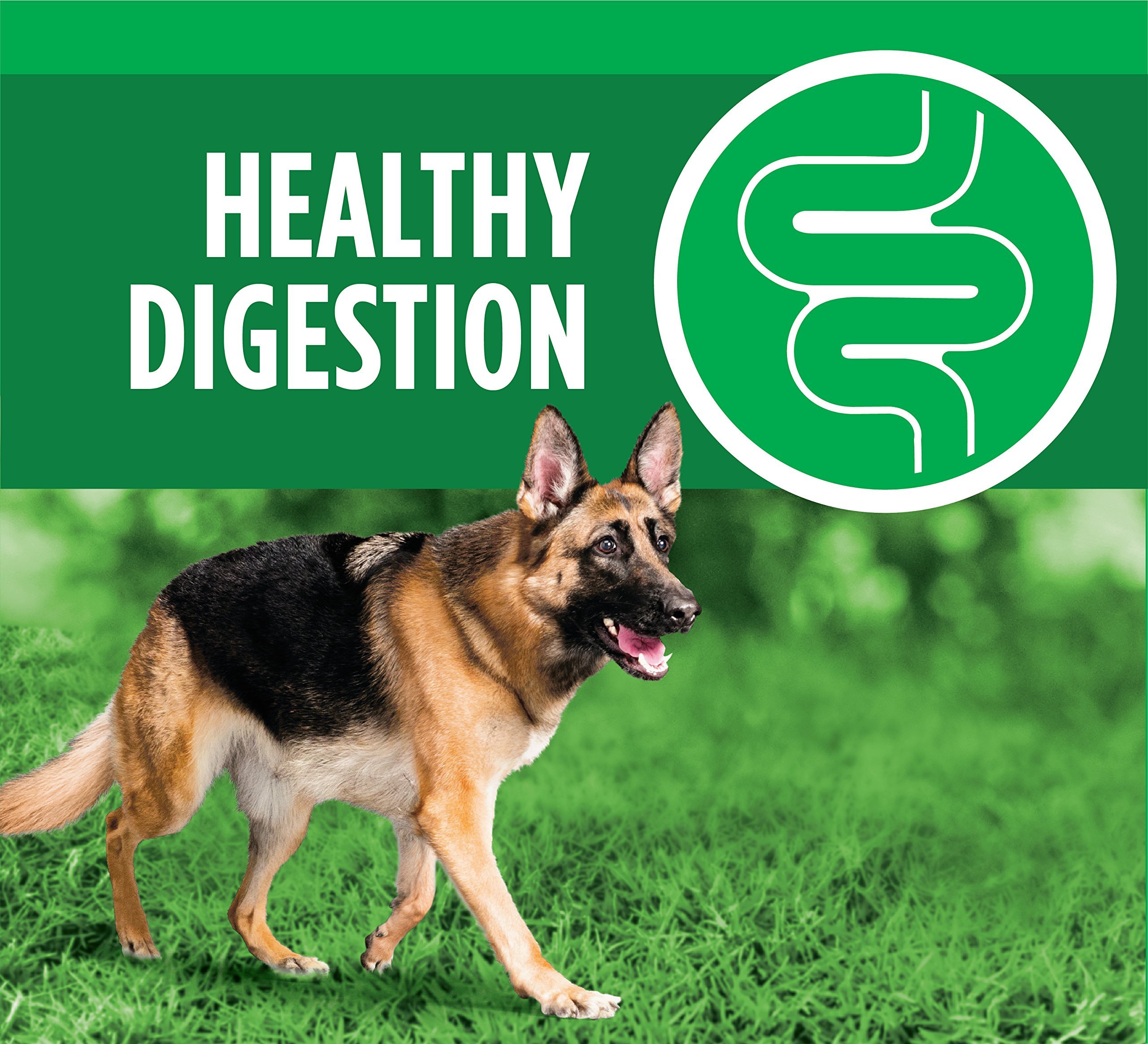 IAMS ProActive Health Adult German Shepherd Dry Dog Food ...