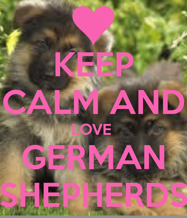 keep calm and love your german shepherd