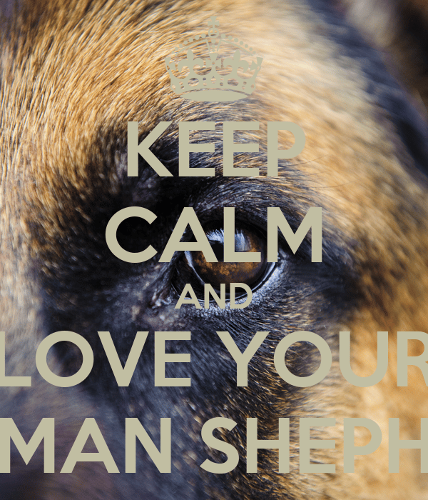 KEEP CALM AND LOVE YOUR GERMAN SHEPHERD Poster